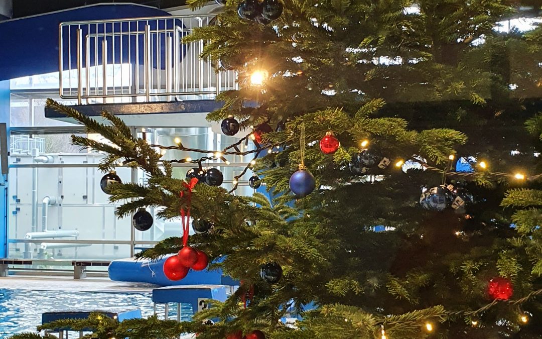 Tannenbaum im Hallenbad pünktlich zu St. Nikolaus
