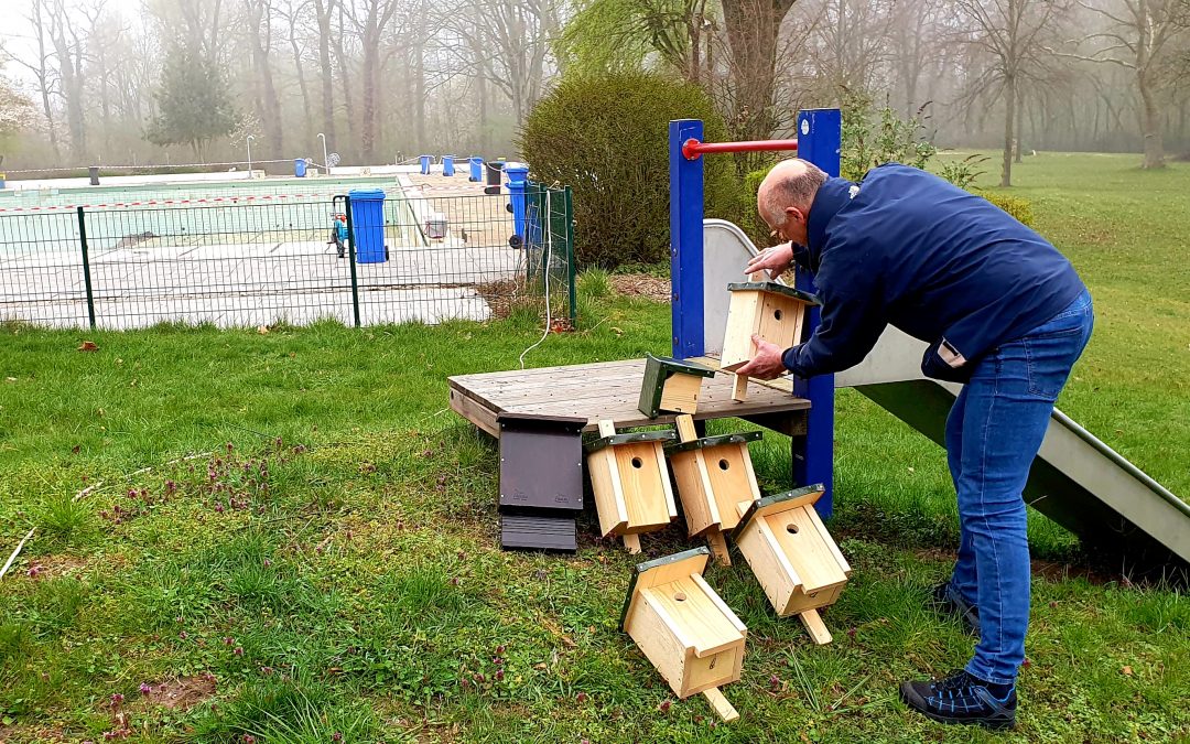Nistkästen für das Freibad