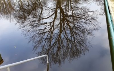 Bäderkonzept jetzt zukunftsorientiert, zukunftsfähig, zukunftssicher…