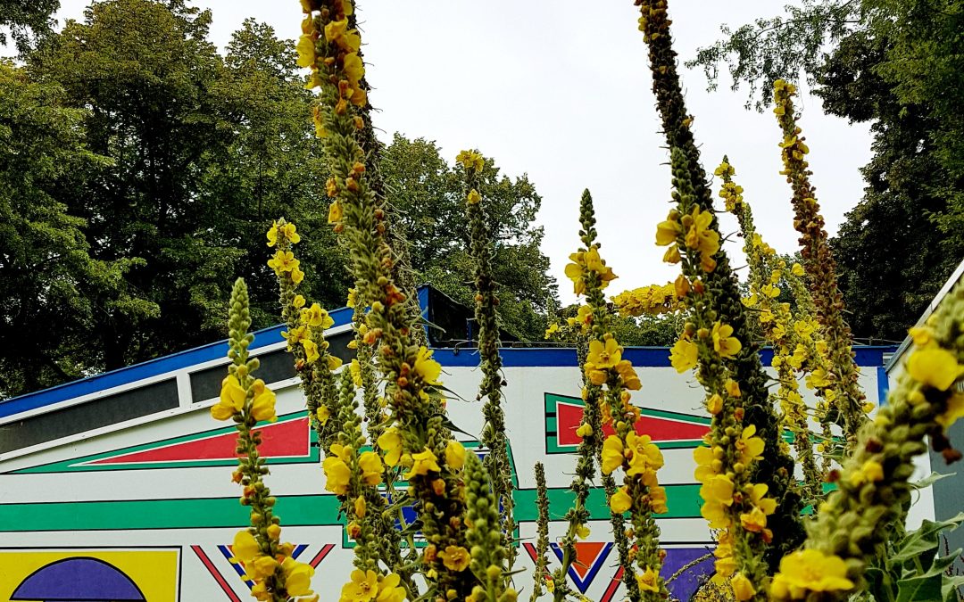 Jahreshauptversammlung am 21.02.2024