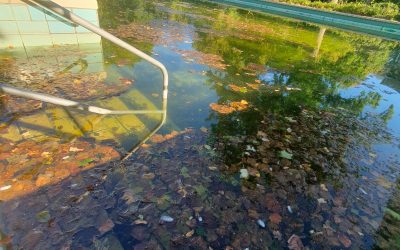 Saisonende und Ruhe im Freibad, bei der Arbeitsgemeinschaft des Fördervereins aber keineswegs!